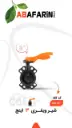 msg37629266-77906.webp