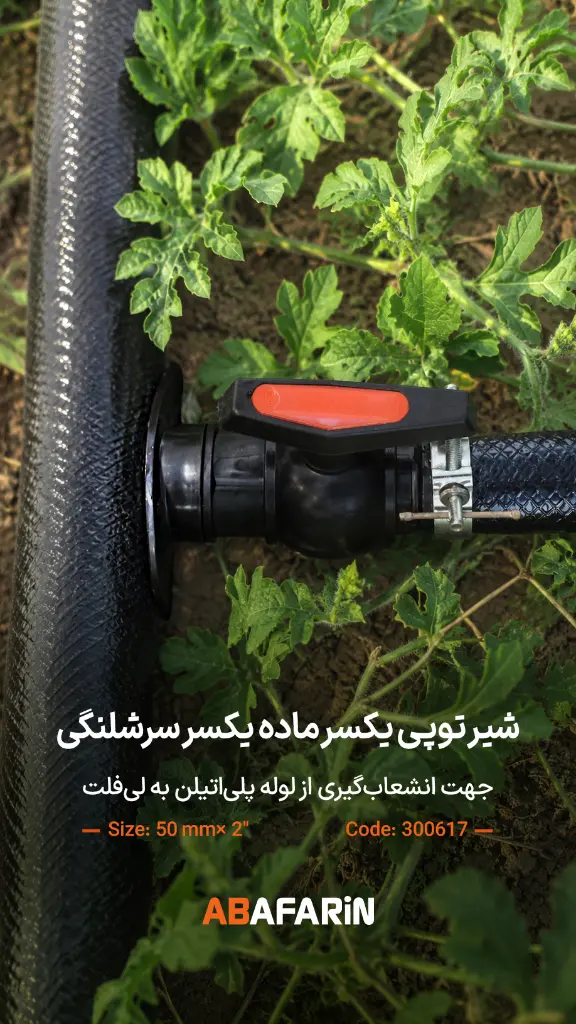 شیـر یکسر ماده یـکسر سرشلنـگی 50-2 .webp