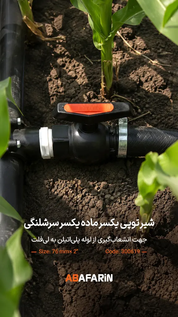 شیر یـکسر ماده یـکسر سرشلنـگی 76-2 .webp