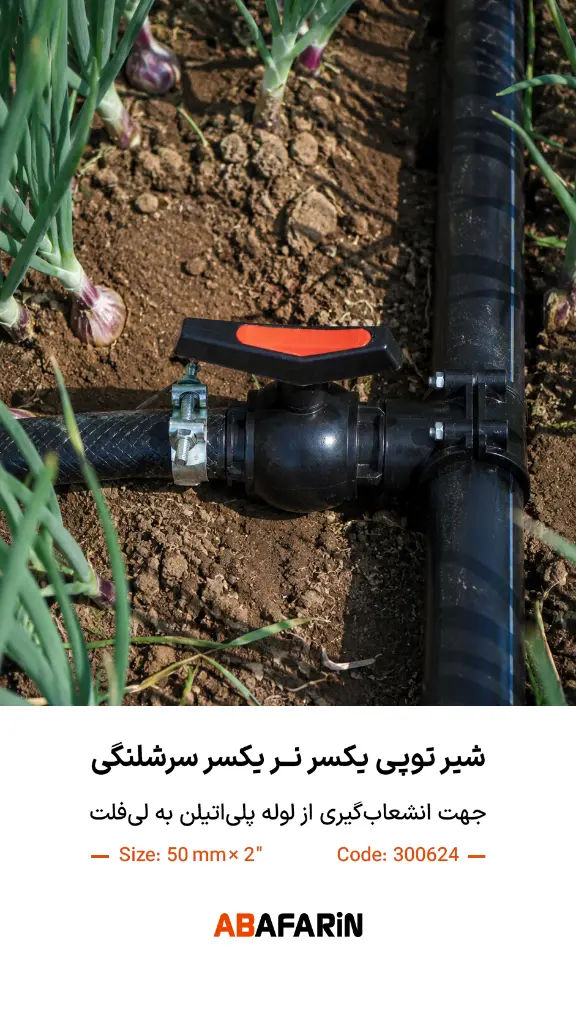 شیر یکـسر نـر یکـسر سرشلنـگی 2-50 .webp