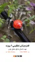 قطره چکـان .هشت روزنـه.webp