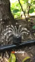 قطره چکان هشت روزنه (مشکی) .webp